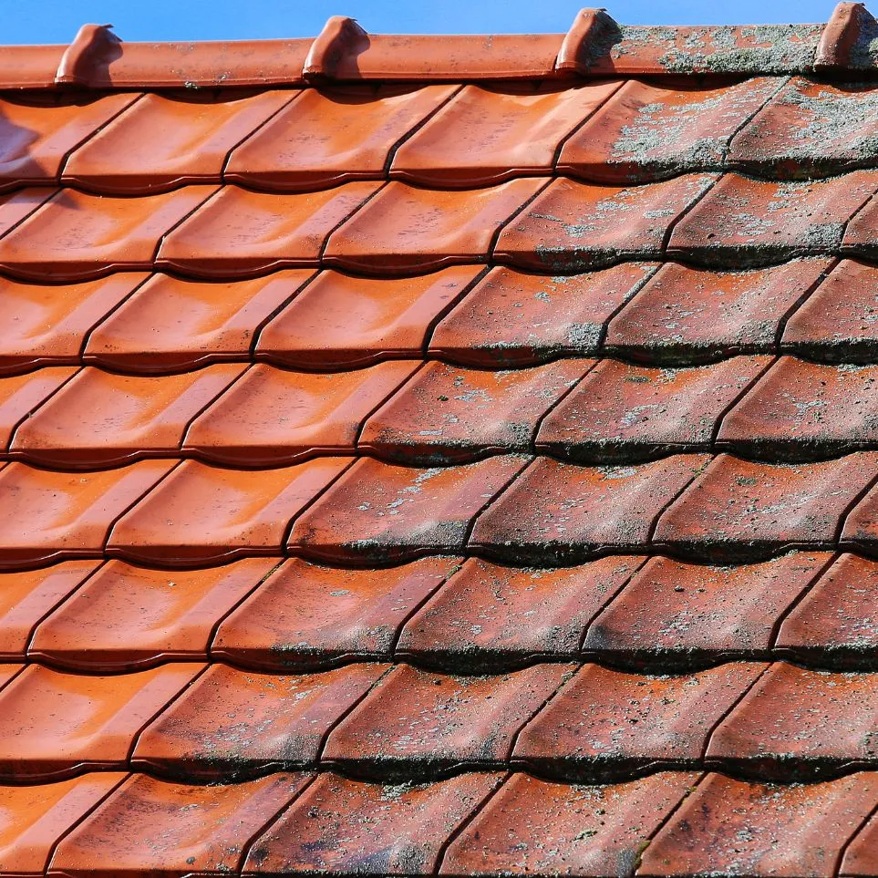 démoussage de toiture à mios à coté de arcachon
