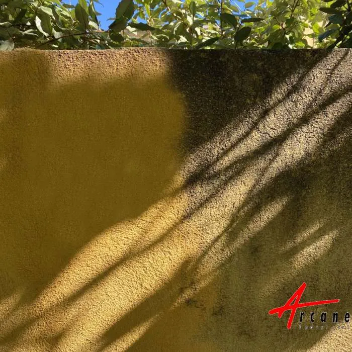Nettoyage de vos murs extérieurs à Mérignac